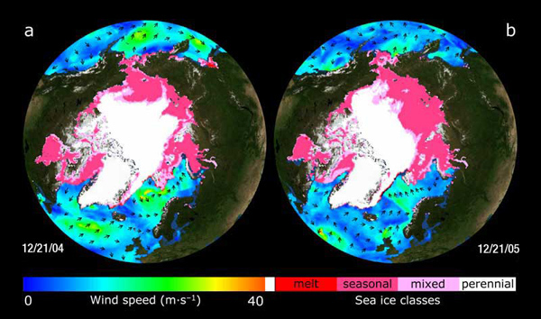 QuikScat Arctic observations