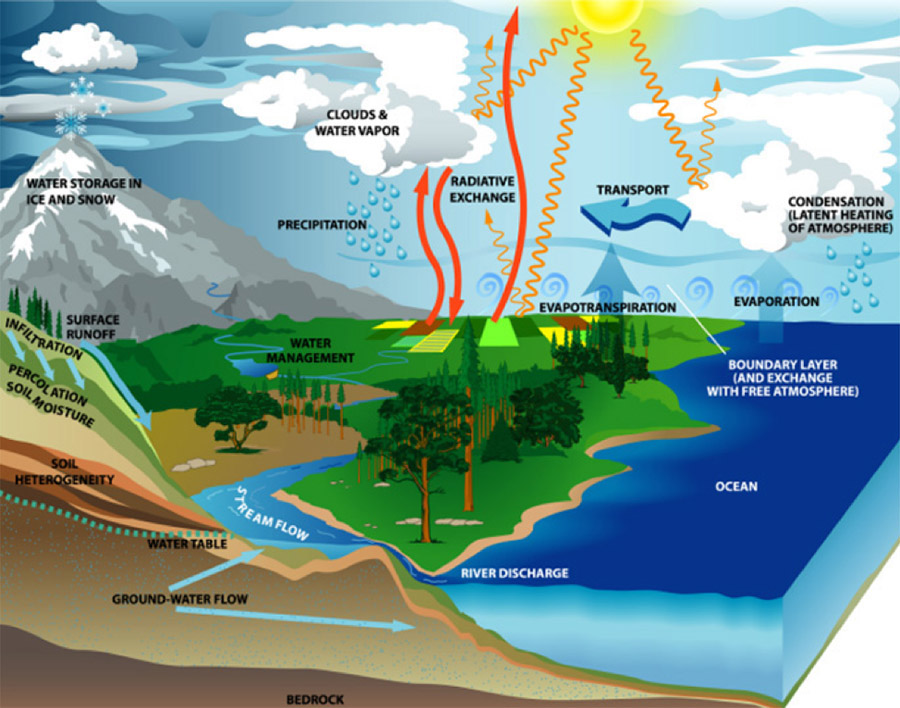 science safari water cycle