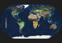 Map of the world from space highlighting burn areas.