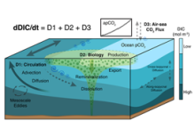 Schematic of Estimating the Circulation and Climate of the Ocean-Darwin DIC budget terms