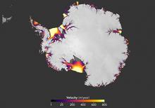 The flow of Antarctic ice