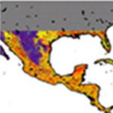 Image of New NASA Map Reveals Tropical Forest Carbon Storage