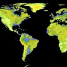 Image of NASA, Japan Release Most Complete Topographic Map of Earth