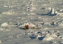 Image of Antarctic sea ice in the Bellingshausen Sea in Oct. 2007