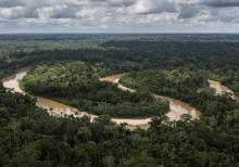 Amazon rain forest